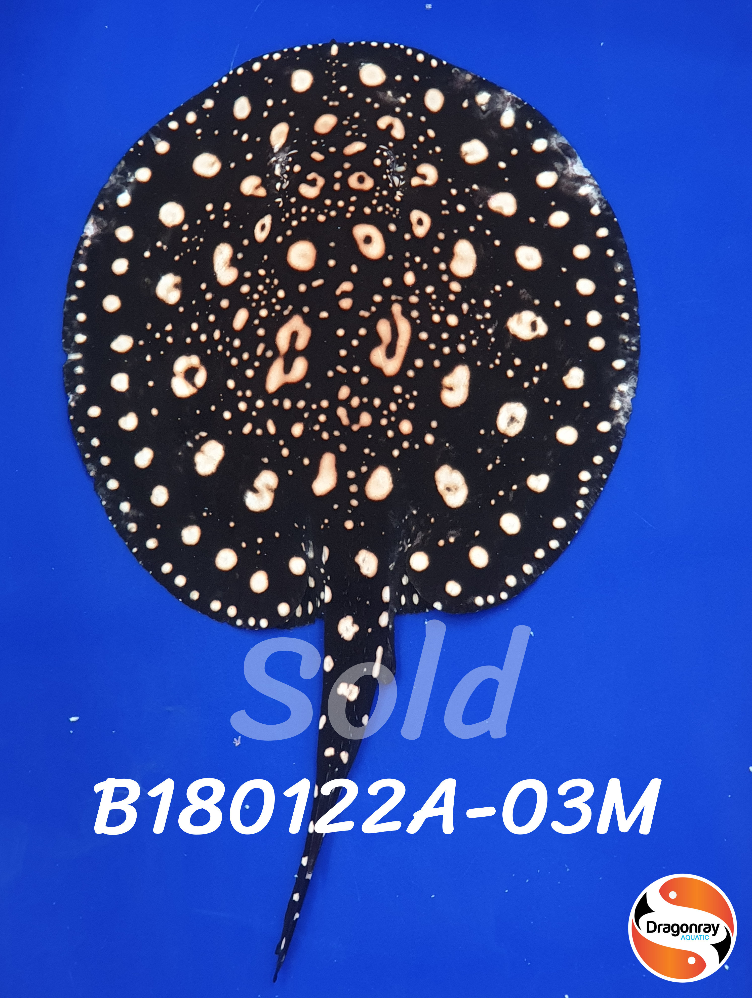 B180122A-03M